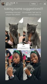 Simone Biles' sister via Instagram