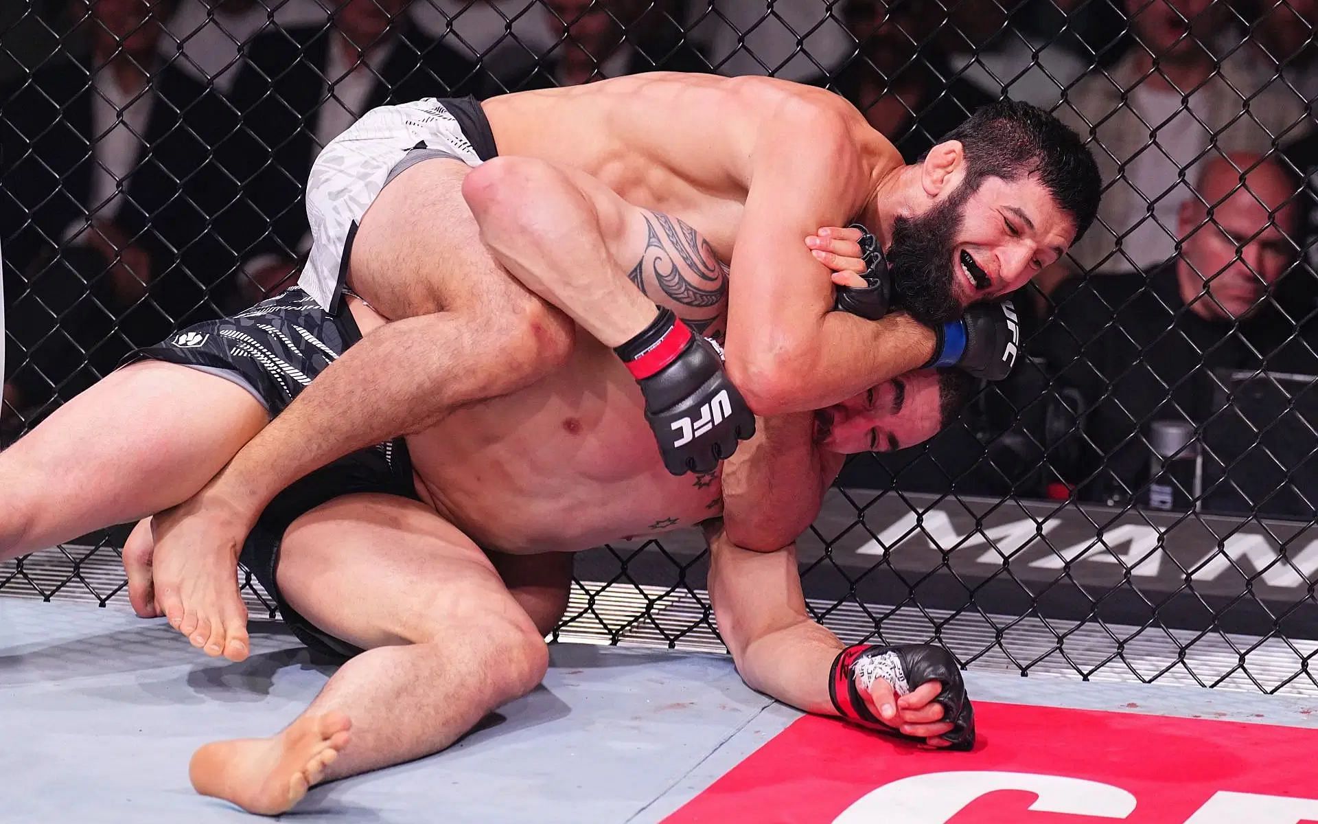 Robert Whittaker