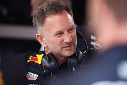 Red Bull's Christian Horner comes clean on the team's persistent questioning of McLaren's car concept