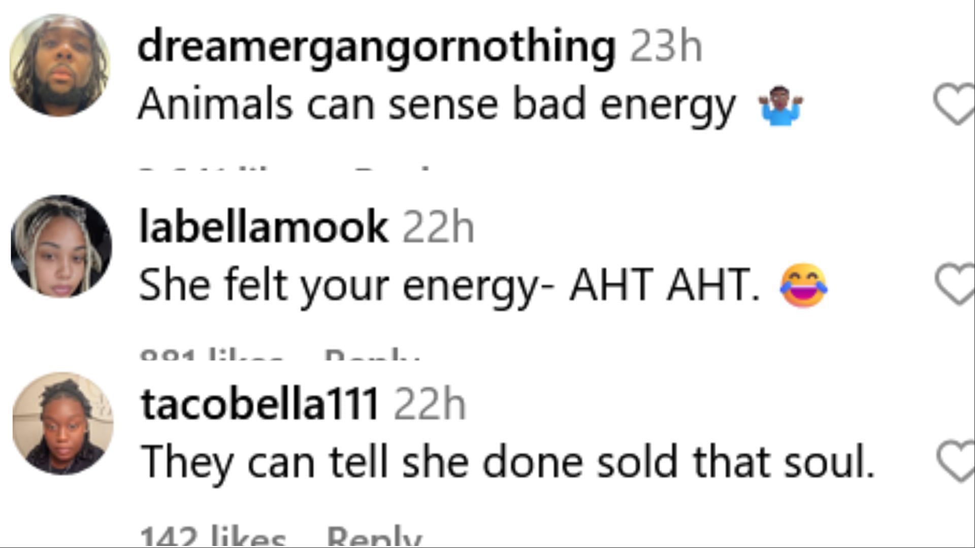 Several netizens reacted to the lioness growling at Sexyy Red (Image via Instagram/@labellamook / @dreamergangornothing / @tacobella111)