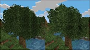 6 best Minecraft resource packs for tree leaves