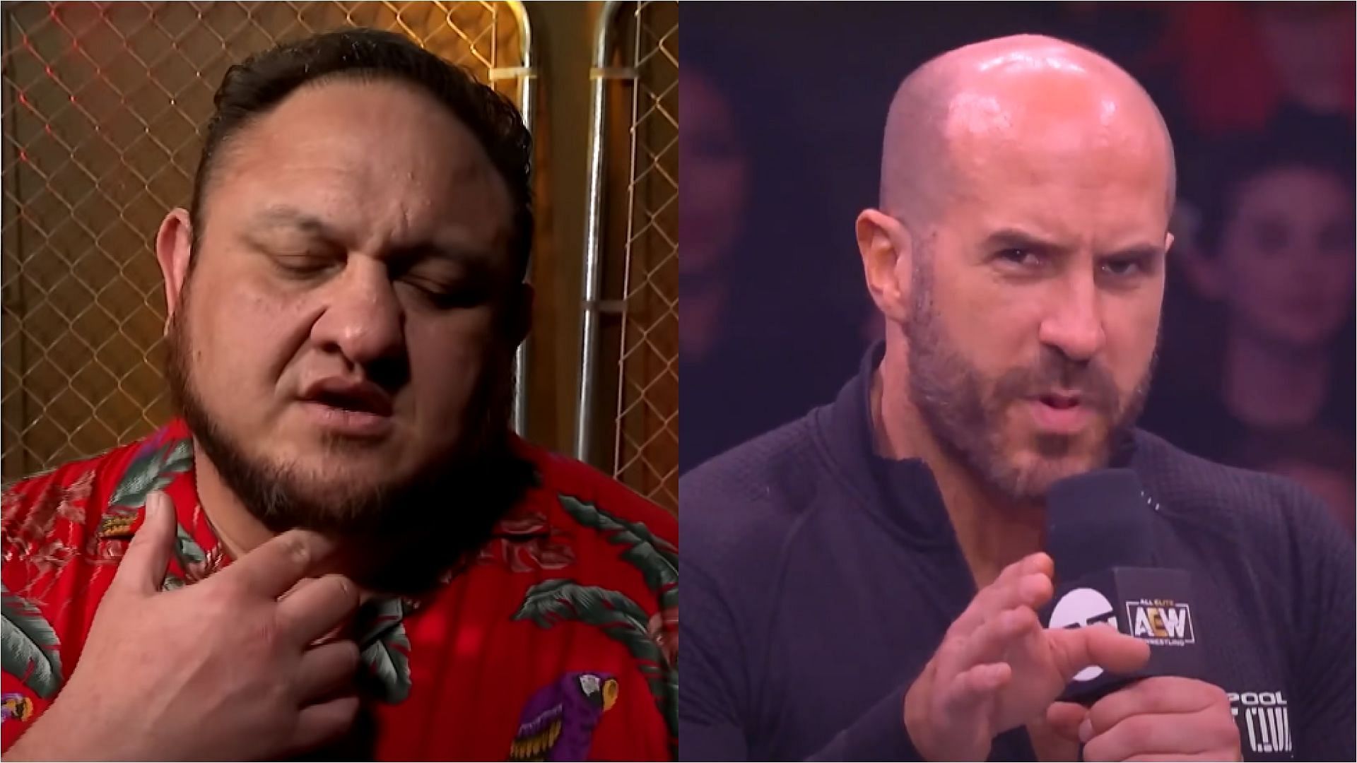 Samoa Joe and Claudio Castagnoli