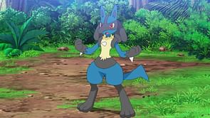 Pokemon GO: 10 best Fighting-type Pokemon to have, ranked