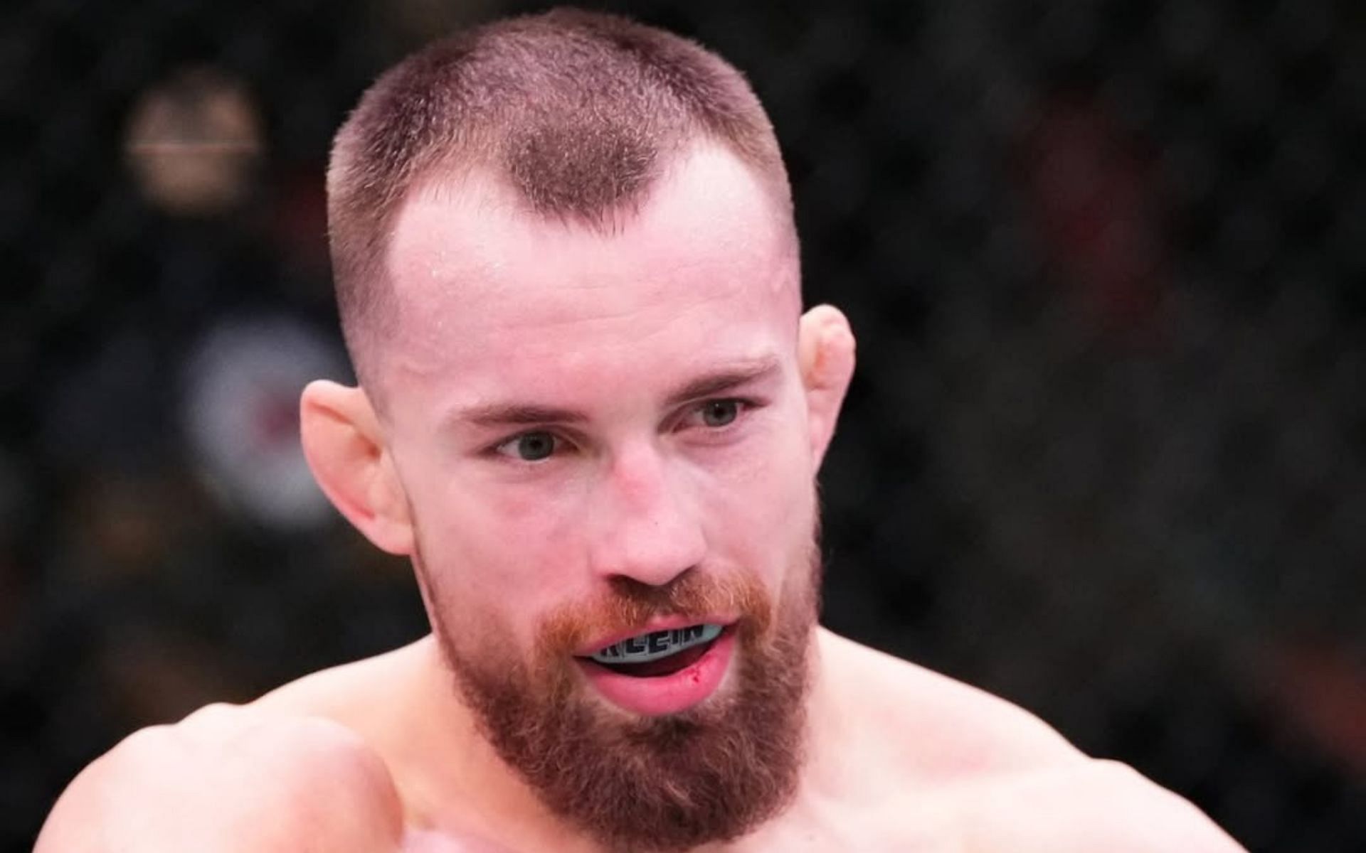 Everything to know about Ludovit Klein. [Image courtesy: @ufceurope on Instagram]