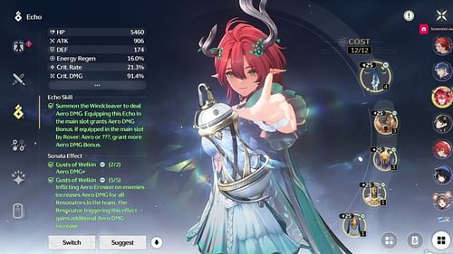Echo sets (Image via Kuro Games)