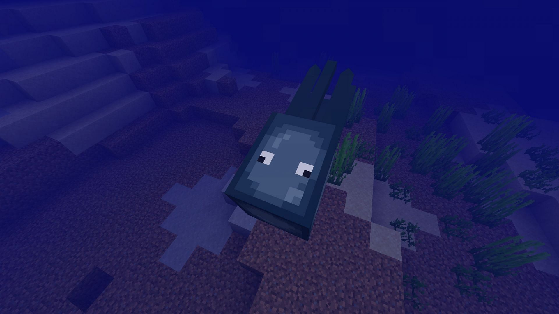 Squid is a simple yet useful creature in Minecraft (Image via Sportskeeda Gaming || Mojang Studios)