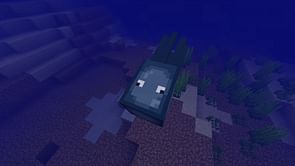 Minecraft squid guide: Spawning, behavior, and drops