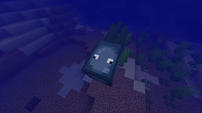 Minecraft squid guide: Spawning, behavior, and drops