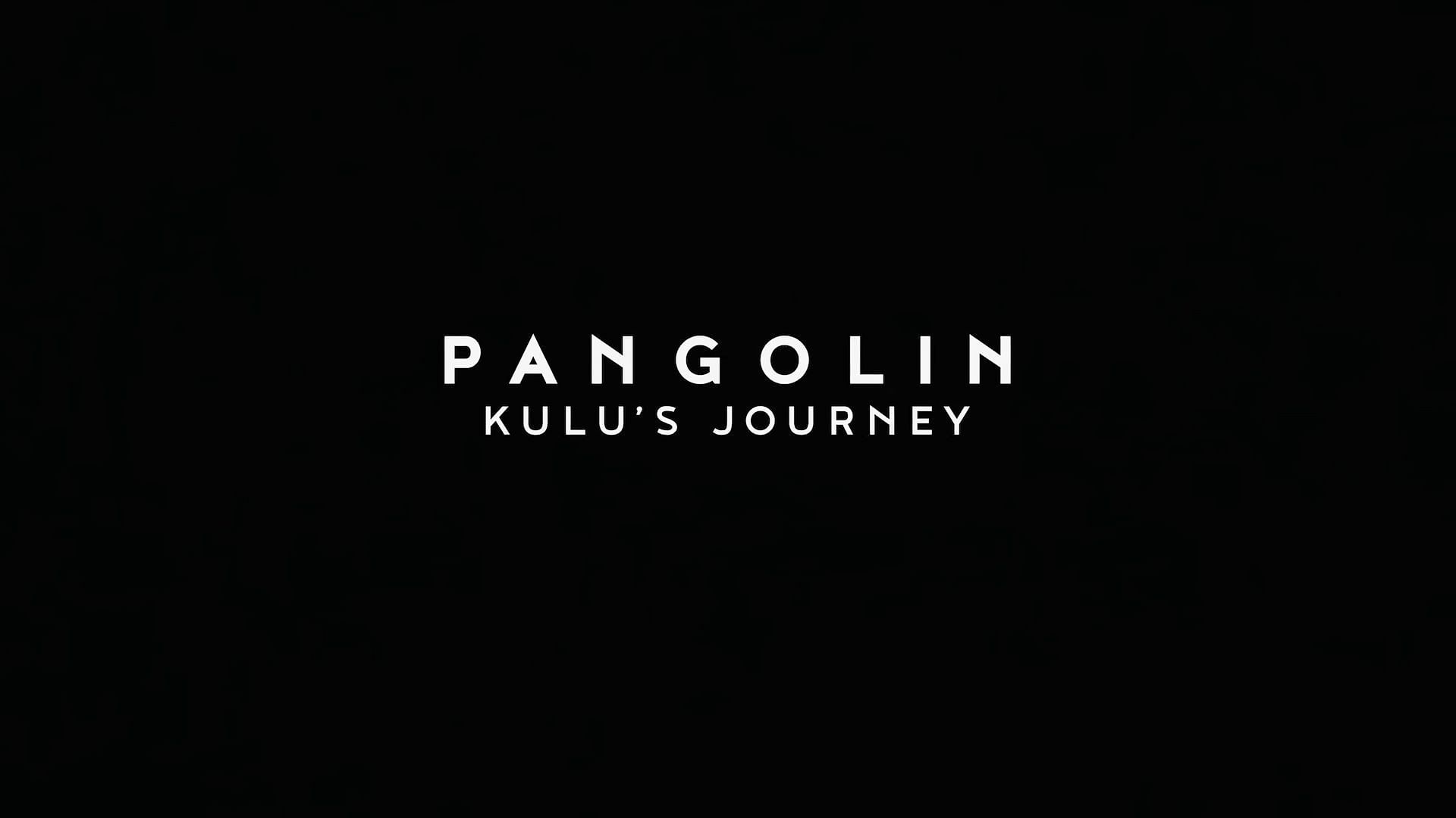 The story behind Pangolin: Kulu