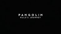 The fascinating true story behind Pangolin: Kulu's Journey, explained