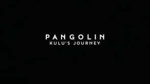 The fascinating true story behind Pangolin: Kulu's Journey, explained