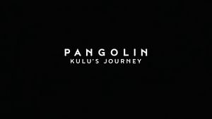 The fascinating true story behind Pangolin: Kulu's Journey, explained