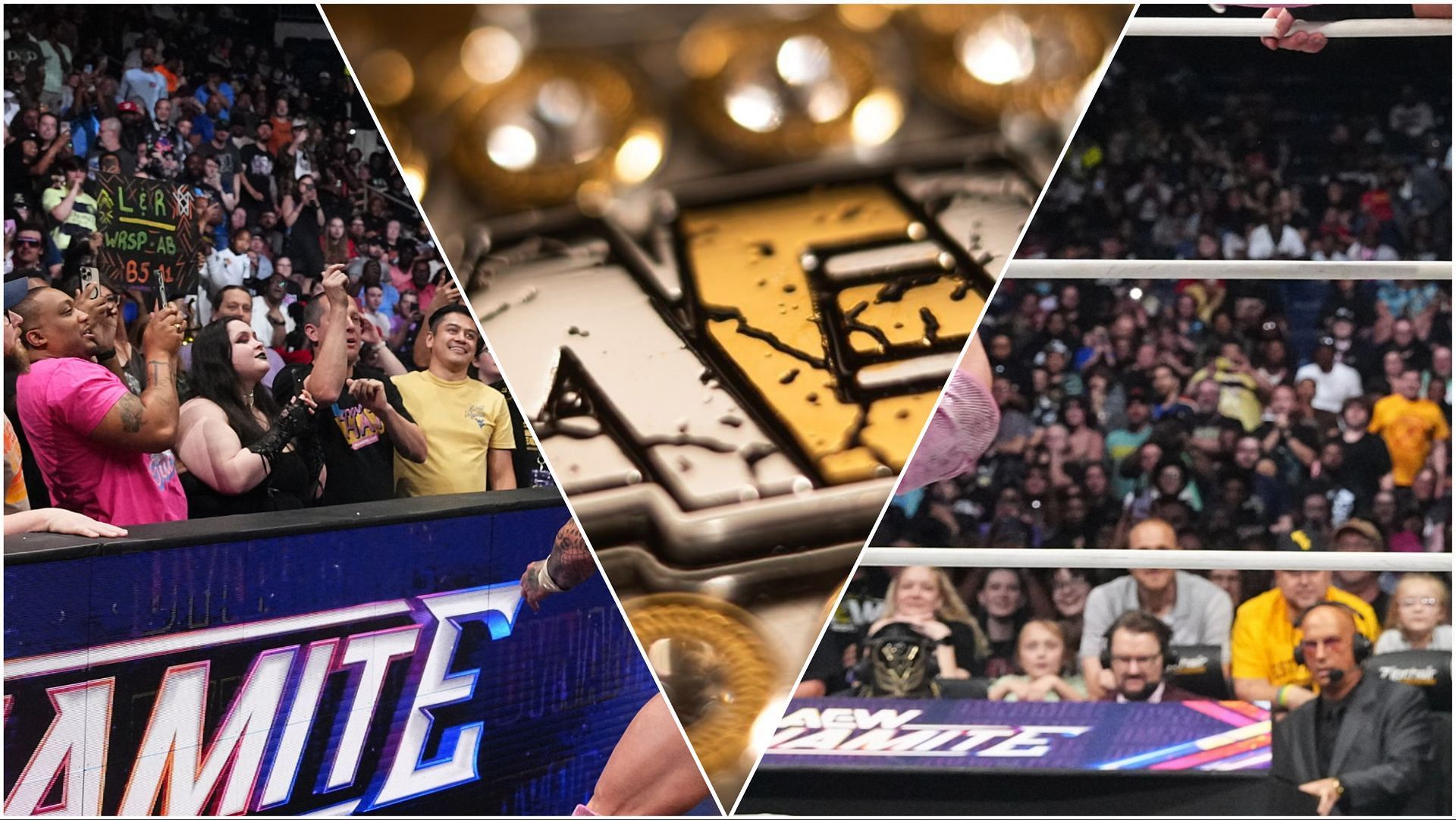 AEW fans cheer the action at Dynamite 