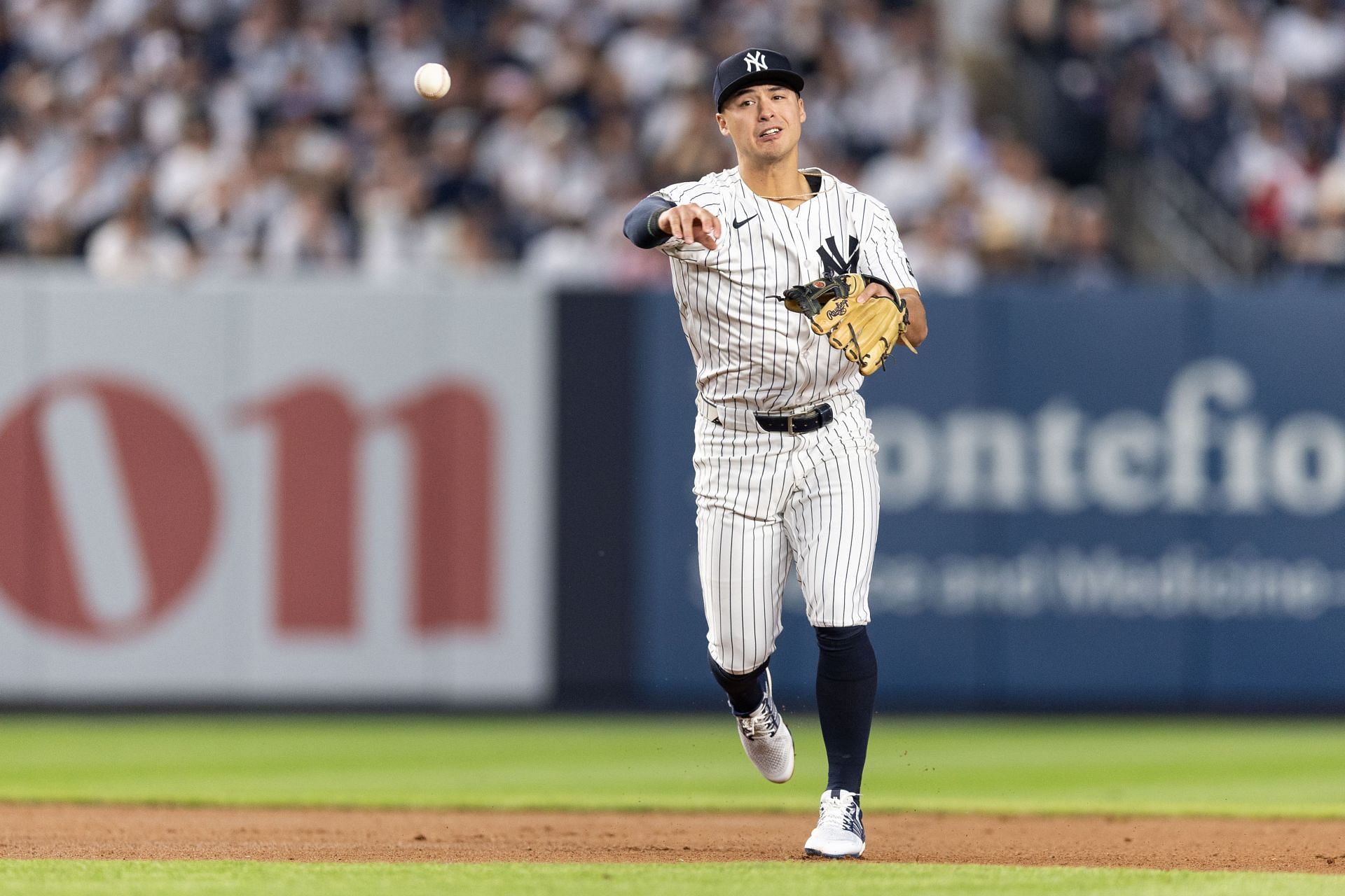 Tampa Bay Rays v New York Yankees - Source: Getty