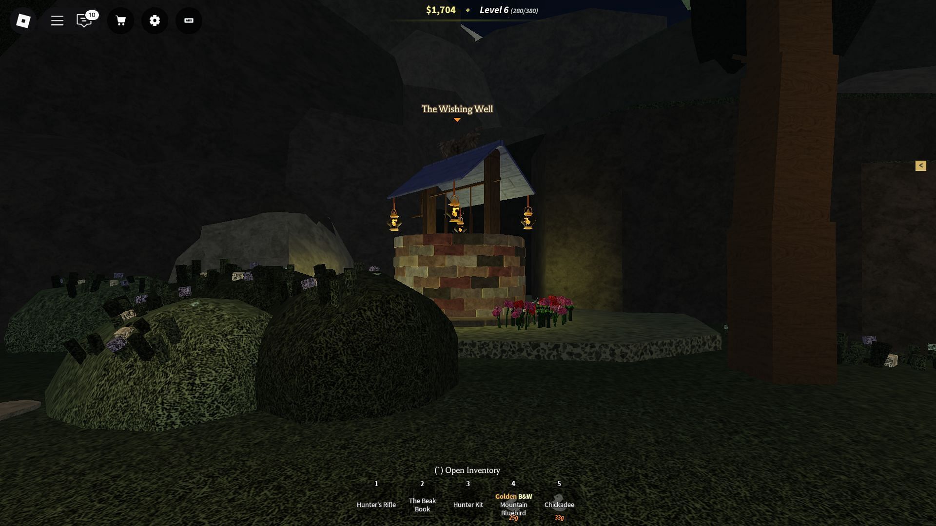 Feature image of Beaks Wishing Well guide