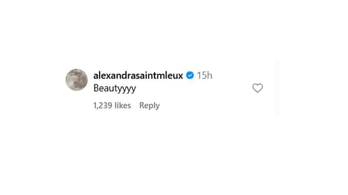 Snapshot of Alexandra Saint Mleux's comment...Credits-Instagram/@iamrebeccad)