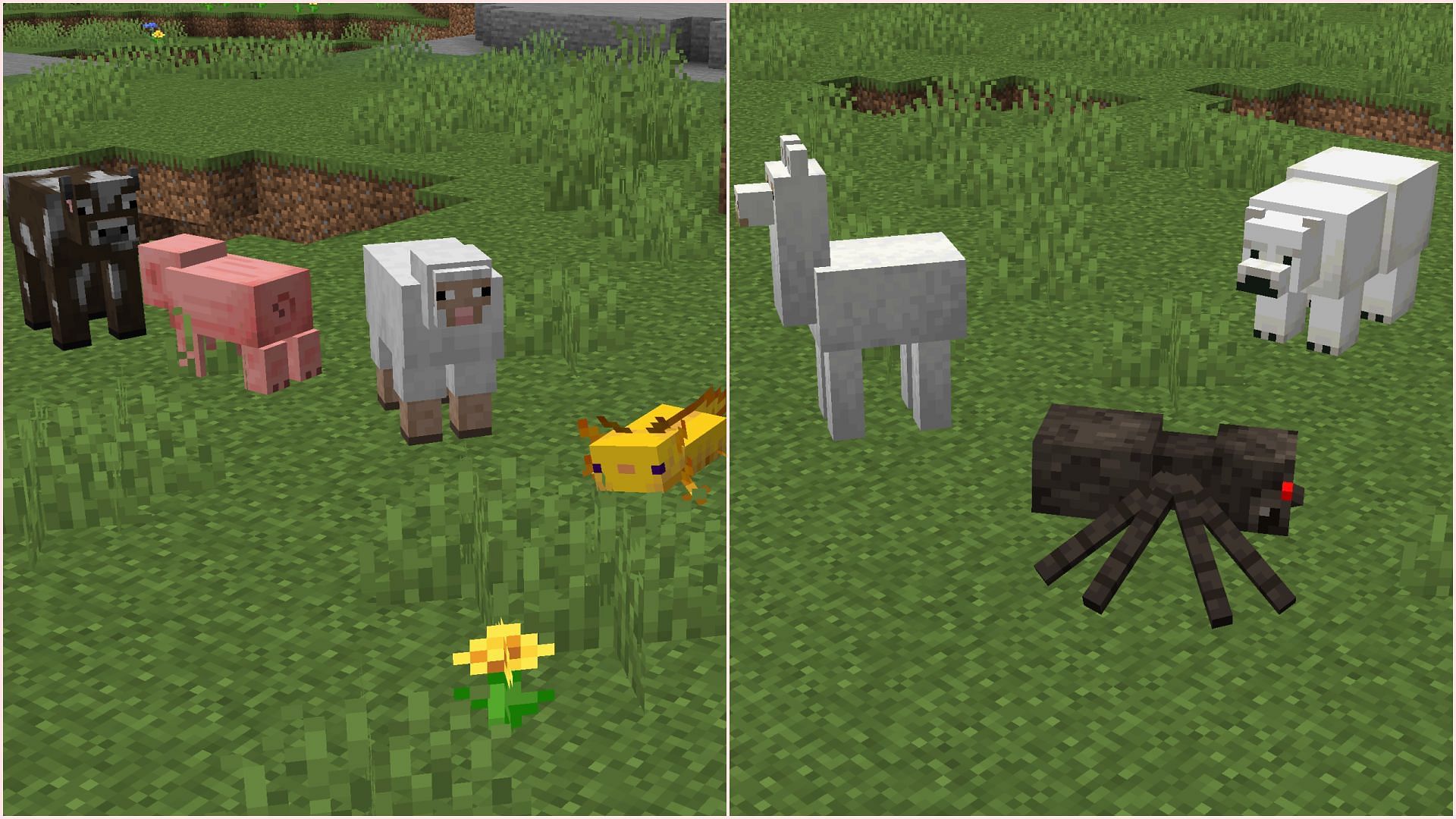 There are many real-life animals in Minecraft (Image via Sportskeeda Gaming || Mojang Studios)