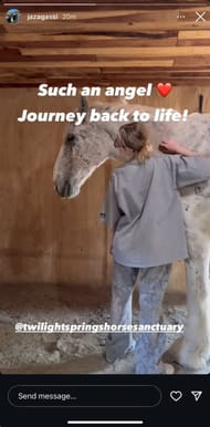 Screengrab of Andre Agassi's daughter, Jaz's Instagram story. Source: Instagram @jazagassi