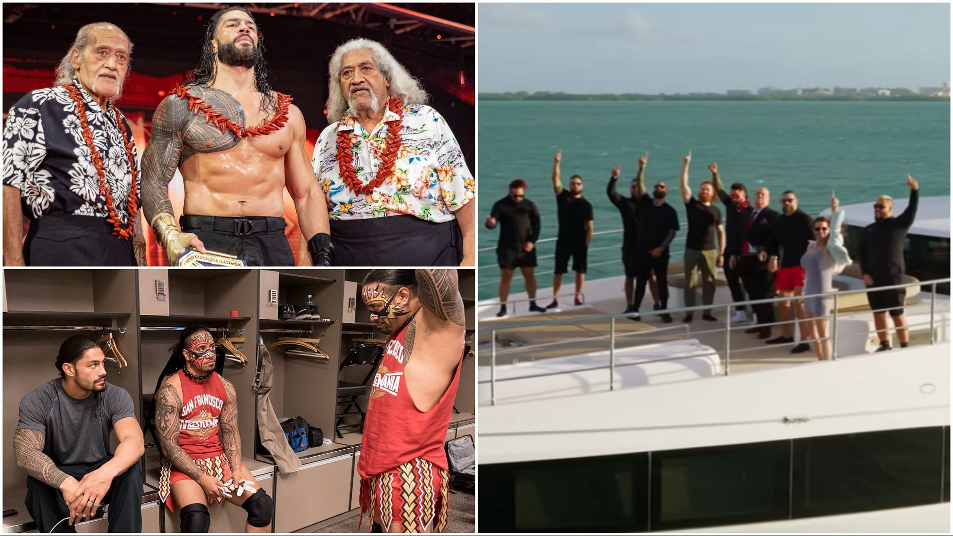 The Bloodline aka The Anoa