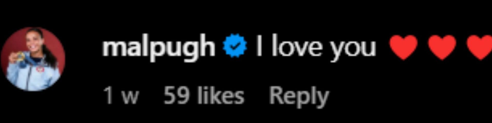 Mallory Pugh&#039;s comment [Image Source: Instagram/dansbyswanson]