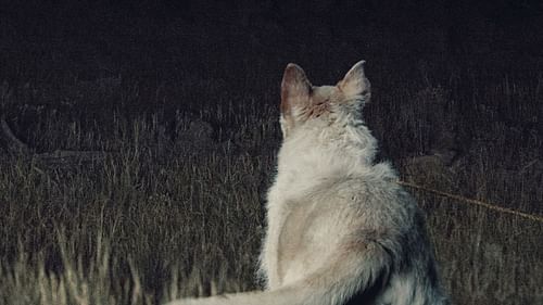 It takes place in a post-apocalyptic environment devastated by a contagious disease (Image via A24)
