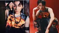 "Concepts are not copyrighted" – Fans defend SEVENTEEN amid plagiarism accusations over their newly released concept photos