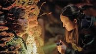 "I'm obsessed with endings" - Craig Mazin reveals how The Last of Us game inspired him for a TV adaptation