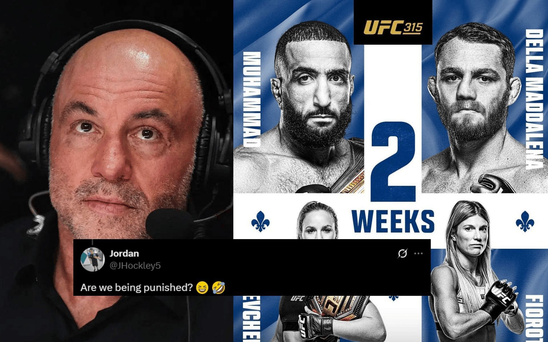 Fans react to Joe Rogan