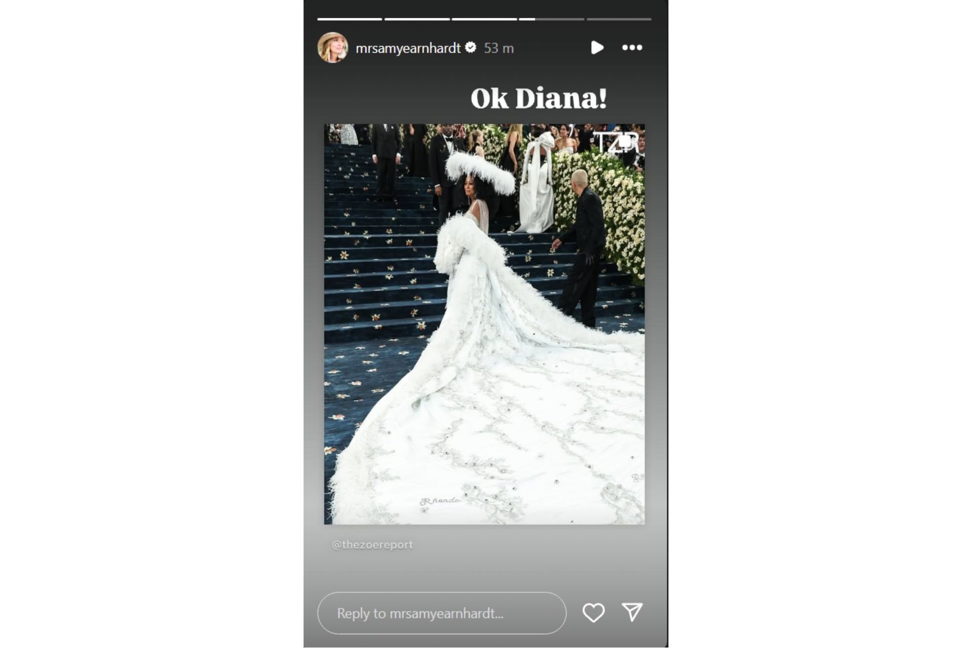 Amy Earnhardt reacts to Diana Ross&#039; Met Gala return (@mrsamyearnhardt on Instagram)