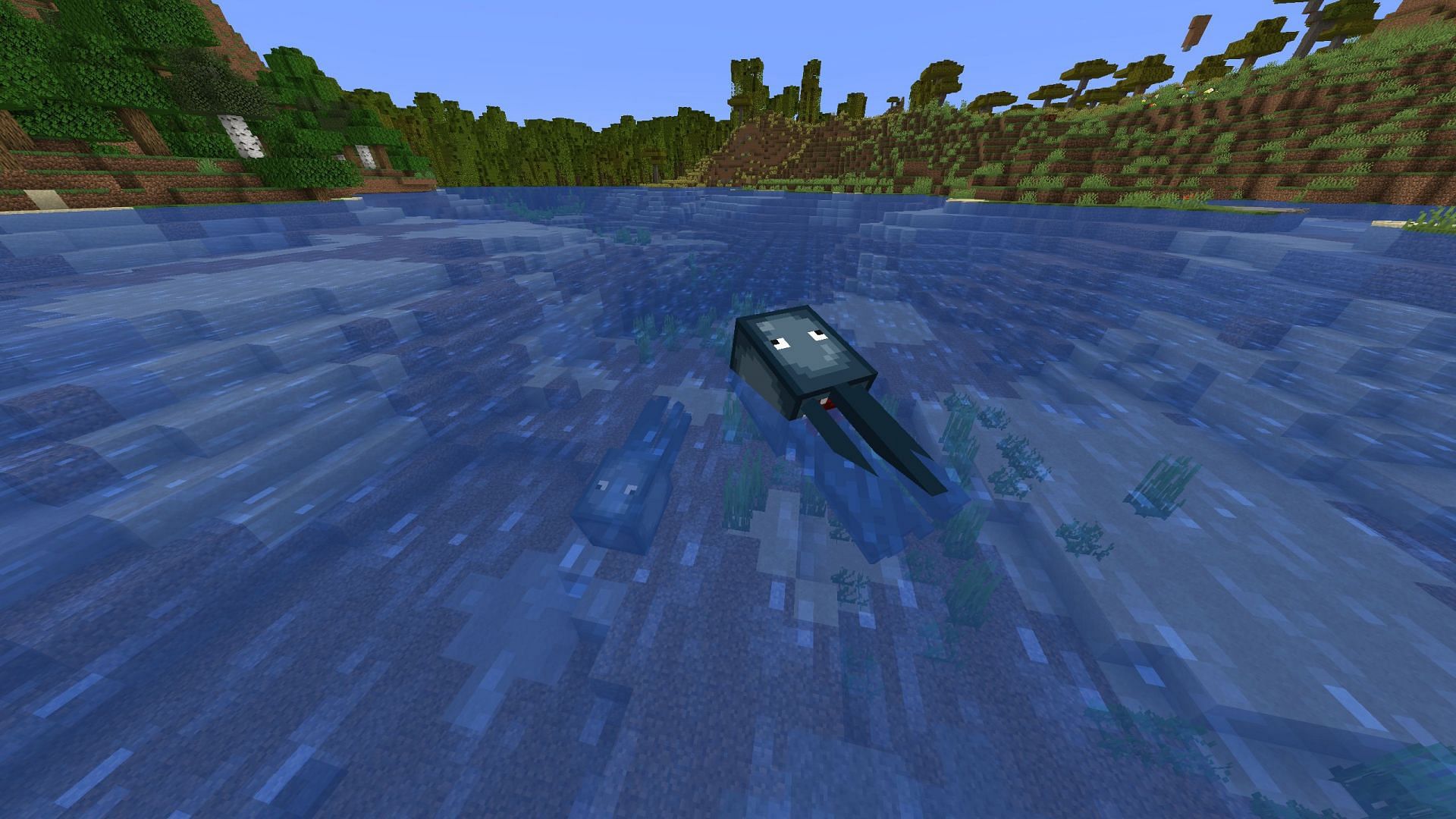 Squids spawn in any water body (Image via Sportskeeda Gaming || Mojang Studios)