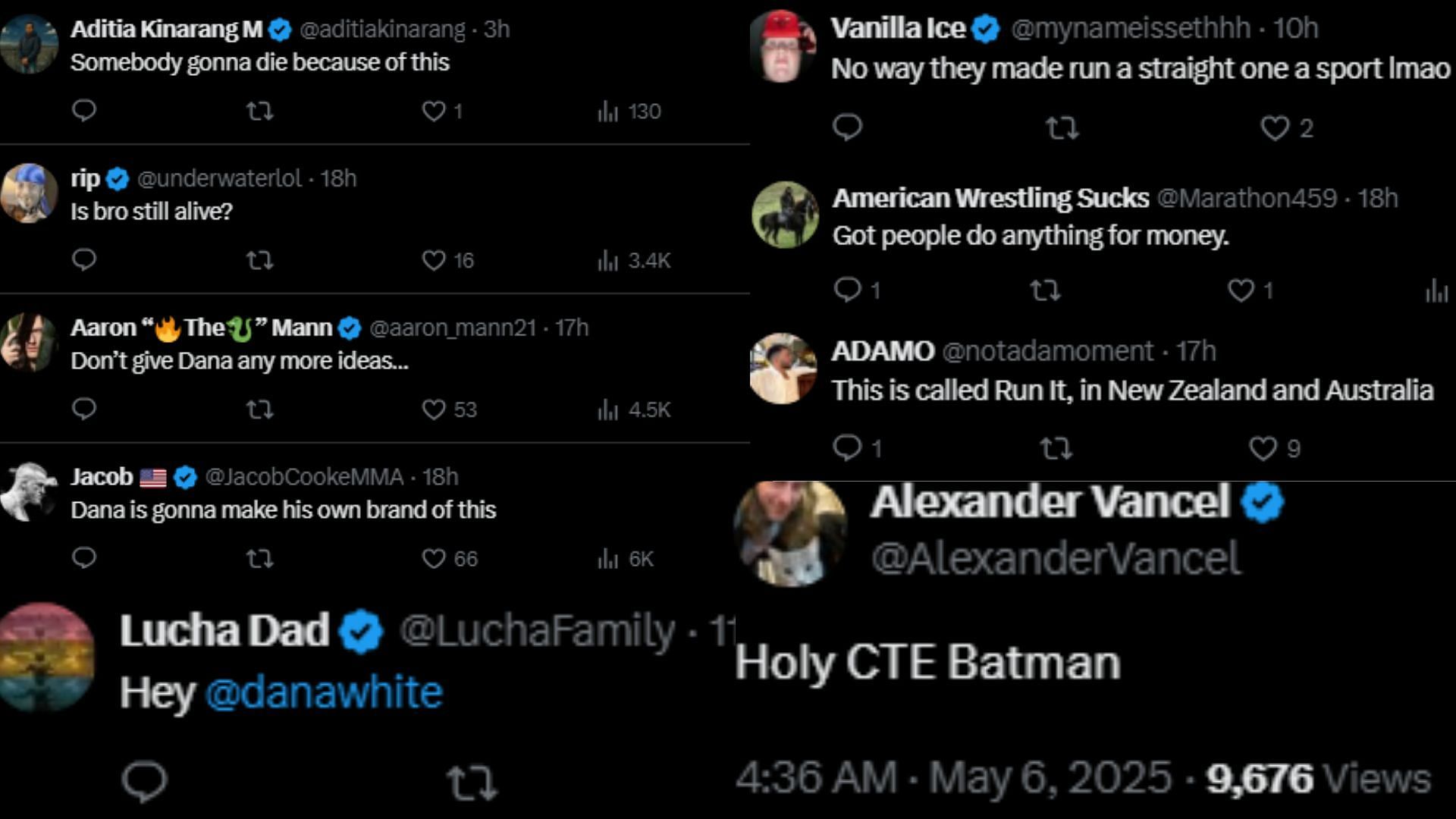 Fan comments. [Screenshots courtesy: @MrTestoestrogen on X]