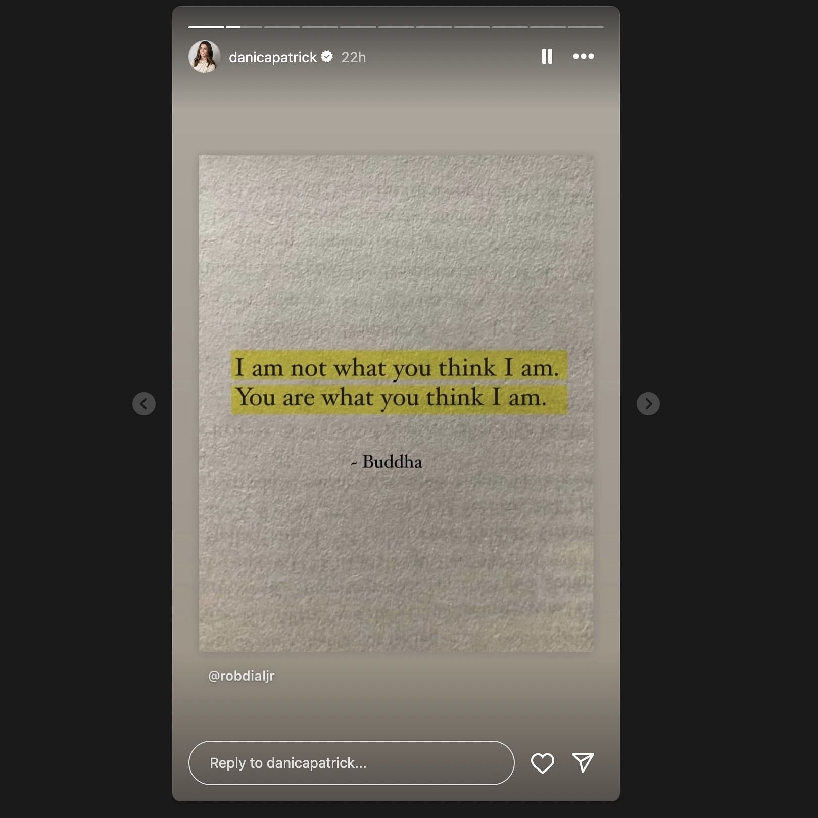 Screen grab from Danica Patrick&#039;s instagram story [via instagram/@danicapatrick]