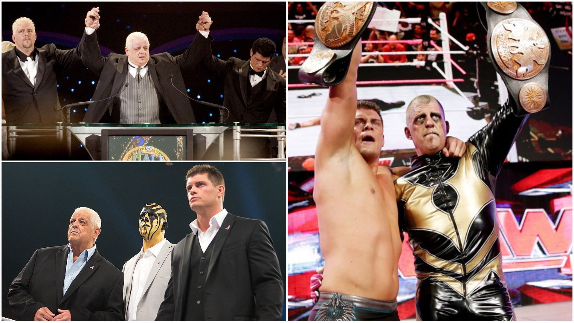 The Rhodes Family on WWE TV over the years