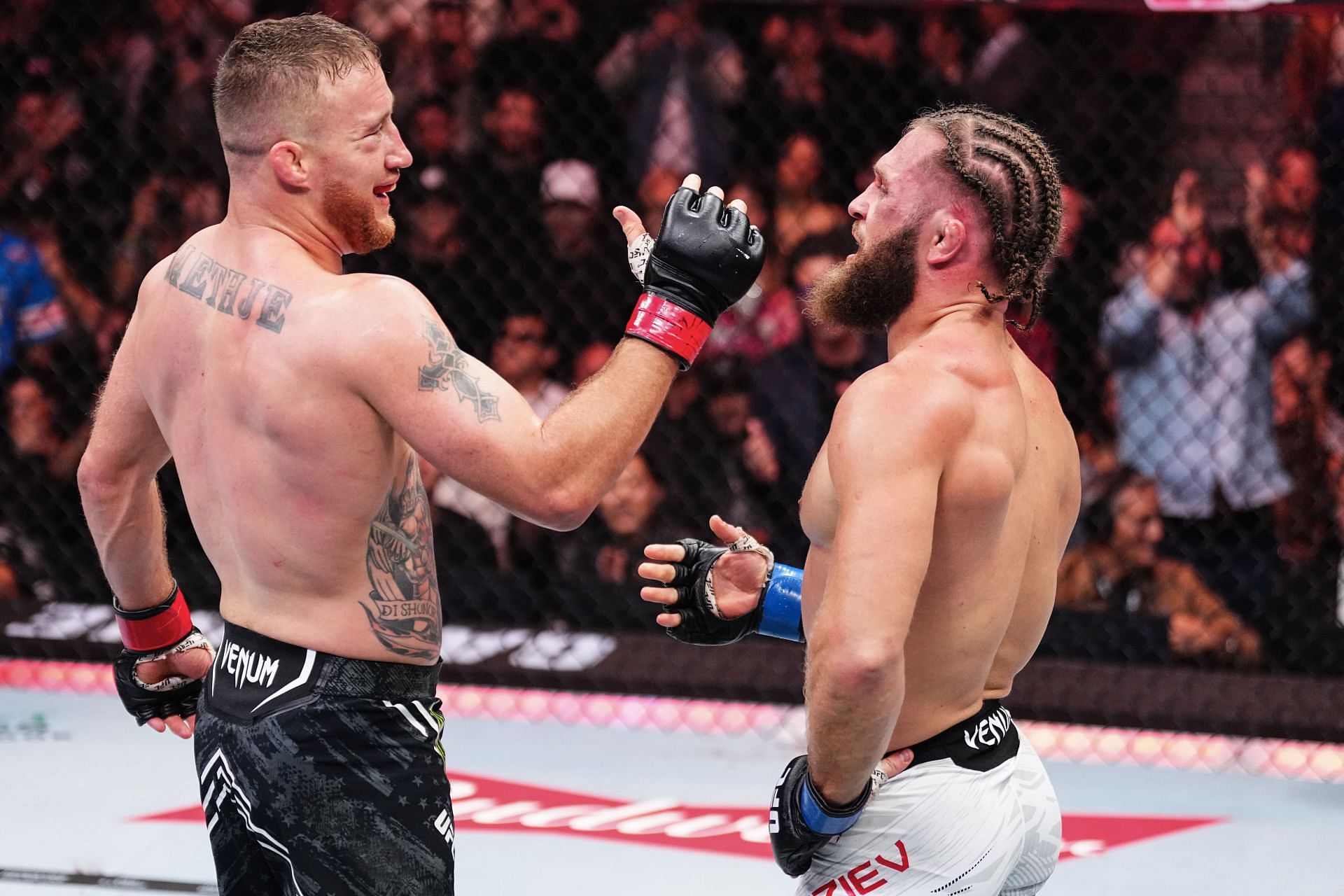 UFC 313: Gaethje v Fiziev - Source: Getty