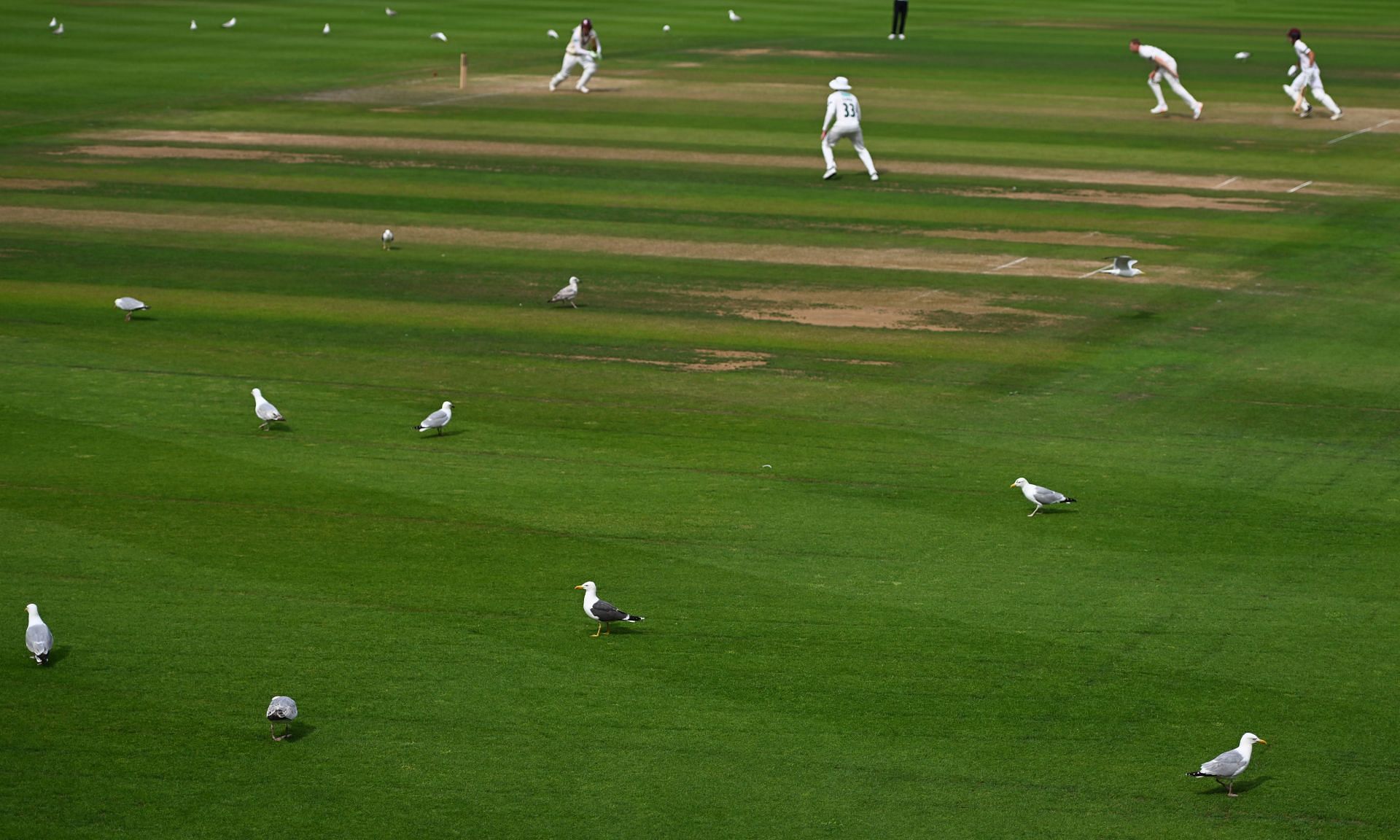 Somerset v Nottinghamshire - Rothesay County Championship - Source: Getty