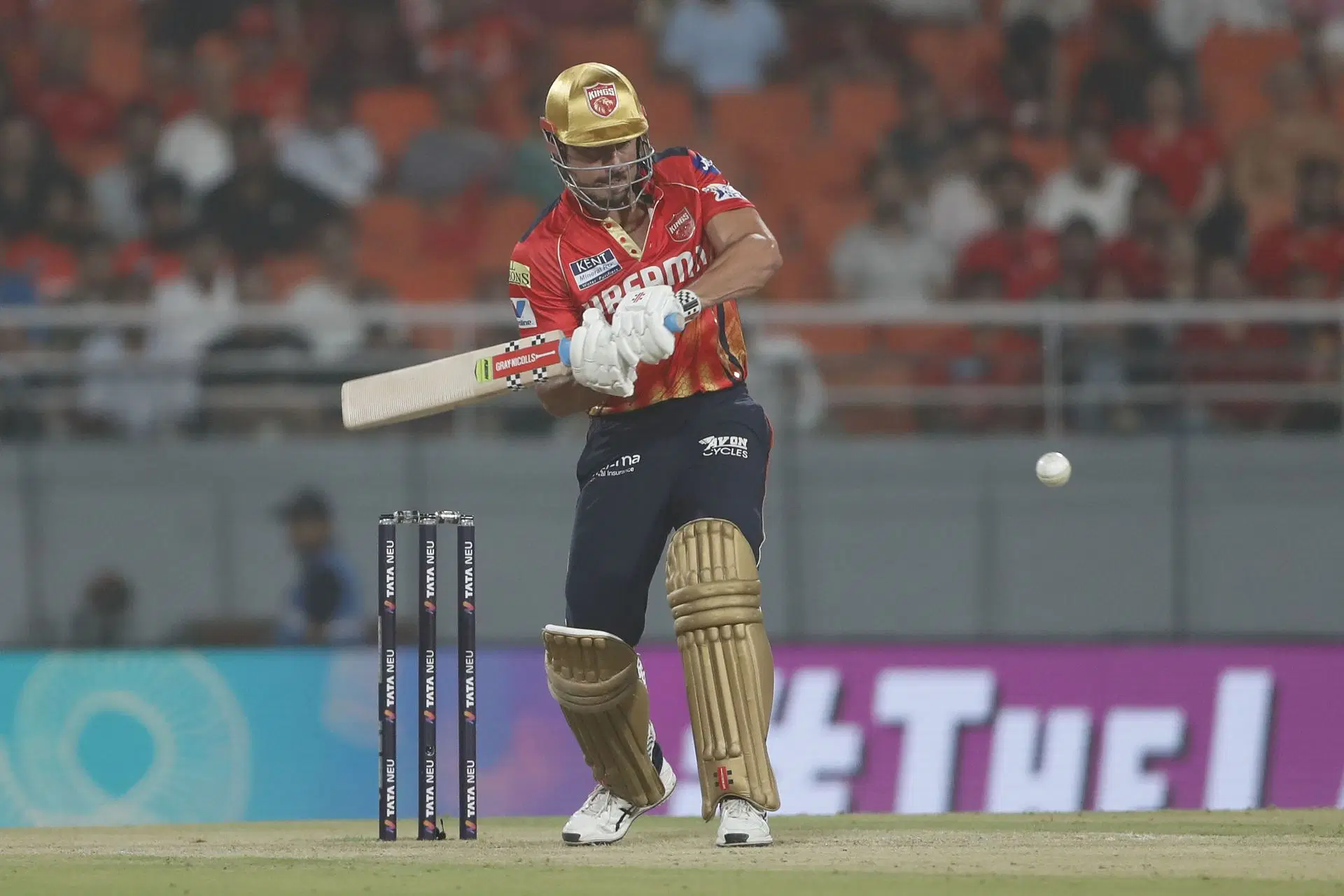 Marcus Stoinis smashed 160 runs at a strike rate of 186.04 in 11 innings in IPL 2025. [P./C: Getty]