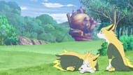 Boltund as seen in the anime (Image via The Pokemon Company)