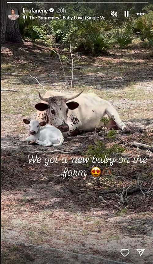 Nia Jax has a new family member [Image credit: Jax's Instagram account]