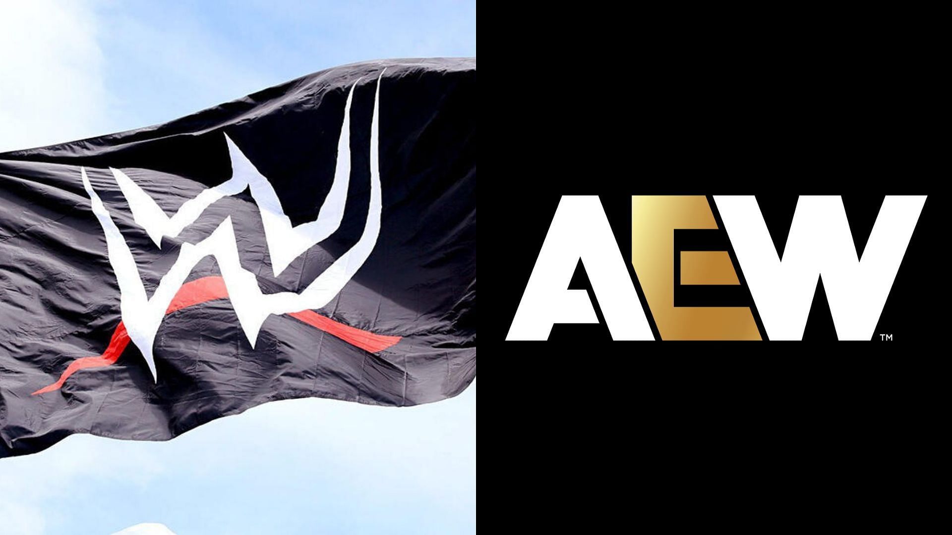 WWE and AEW are top players in the wrestling industry [photo: wwe.com and allelitewrestling.com