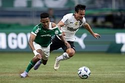 Palmeiras vs Botafogo Prediction and Betting Tips | June 28, 2025