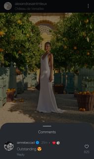 Credit: Alexandra Saint-Mleux on Instagram.