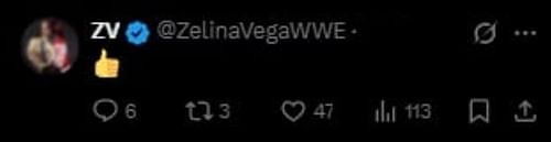 A screenshot of Zelina Vega's deleted tweet on X [Credit: Vega on X]