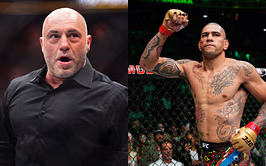 When Alex Pereira's punching technique got the nod from Joe Rogan and UFC legend: "He is very clever"
