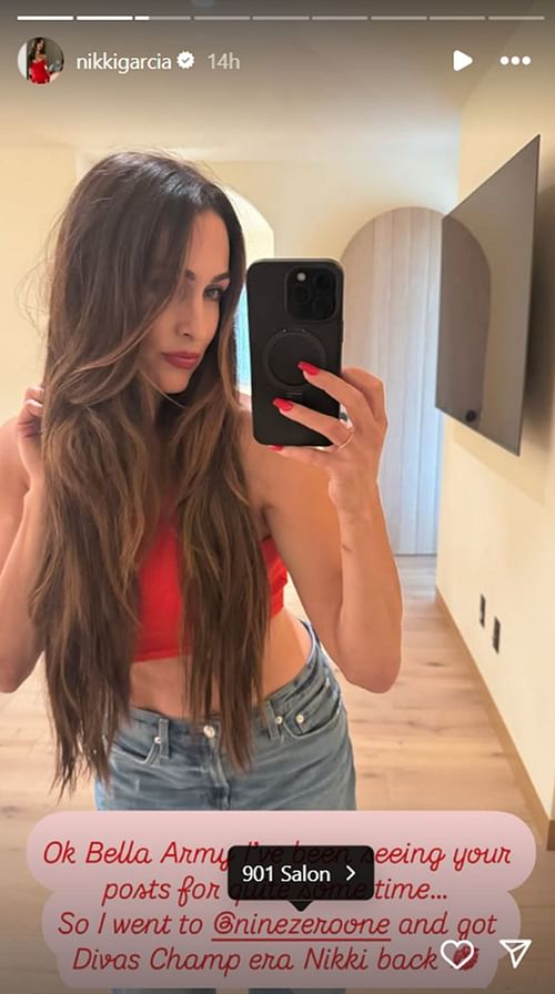 Nikki Bella has made a change (Image Credit: Bella's Instagram stories)