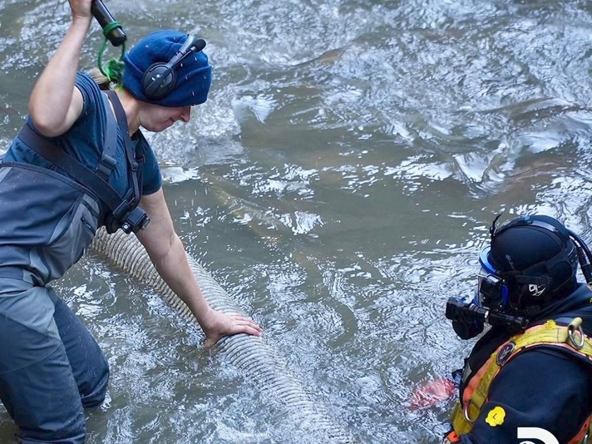 Gold Rush: White Water (Image via Instagram @goldrushtv)