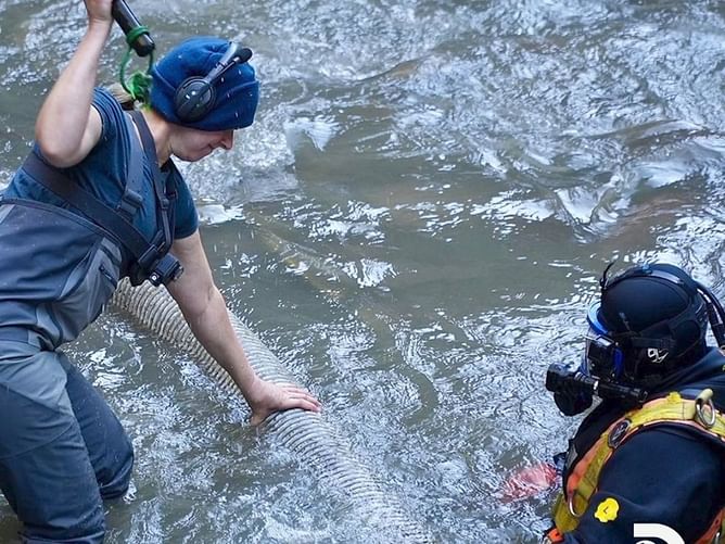 I absolutely understand Dustin’s frustration on Gold Rush: White Water — the gold is there, but the danger is real