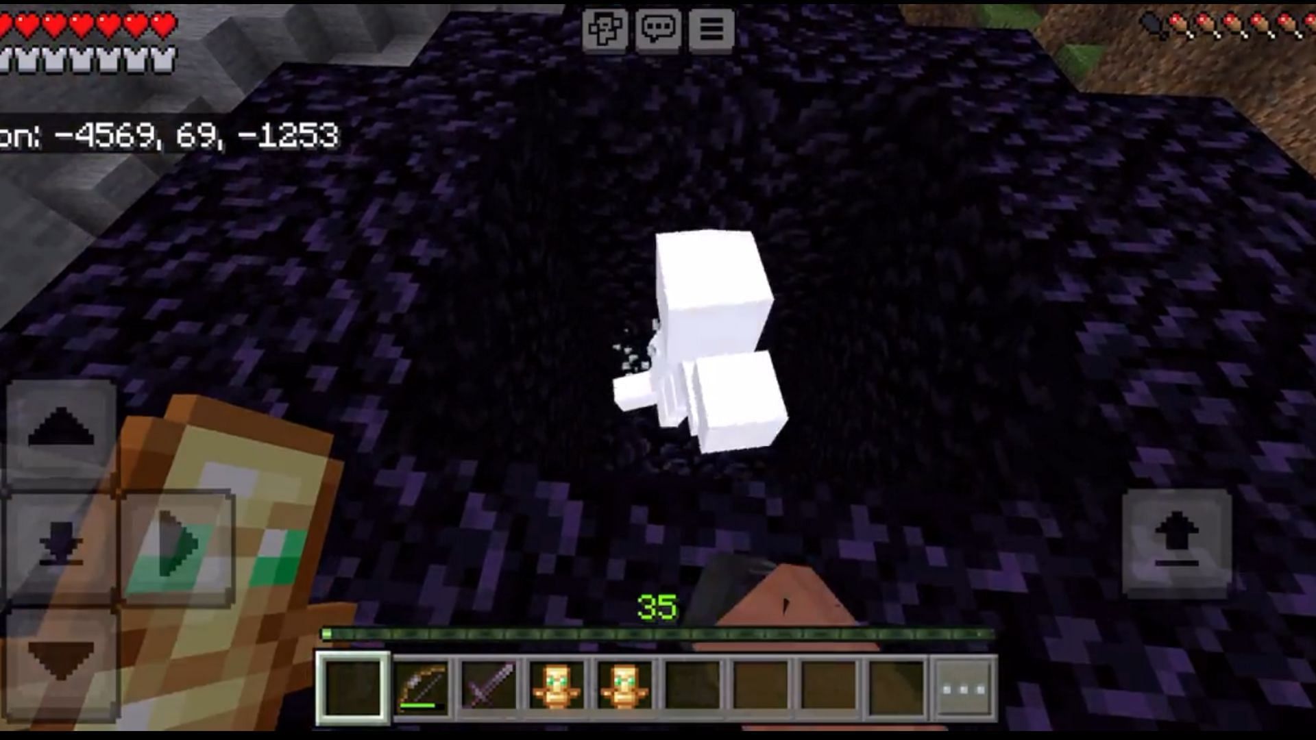 A player comes up with complicated plan to kill the wither 