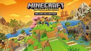Is Minecraft Deluxe Edition worth the extra money?