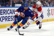 The New York Islanders hope Duclair can rebound this upcoming season - Source: Imagn