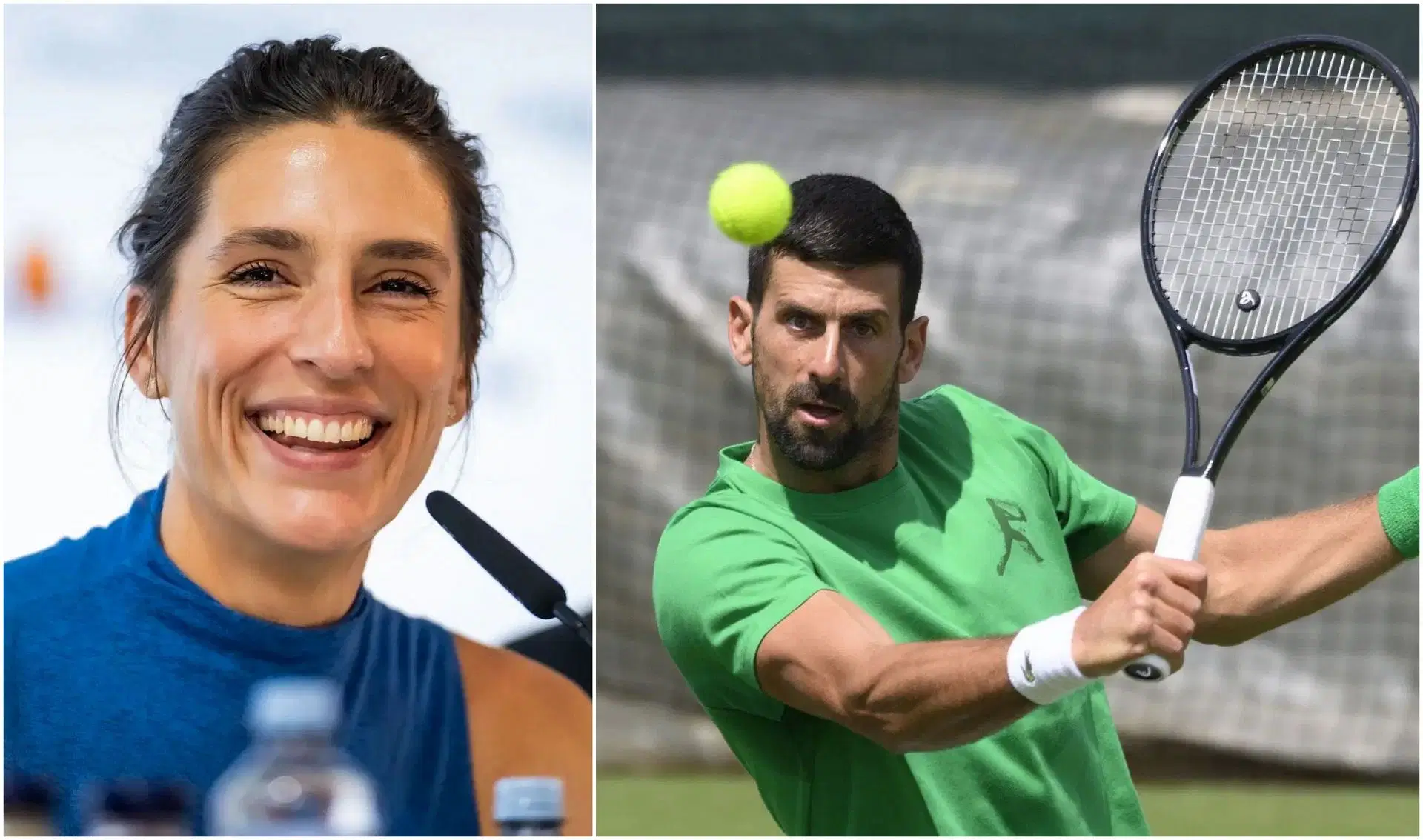 Andrea Petkovic and Novak Djokovic 